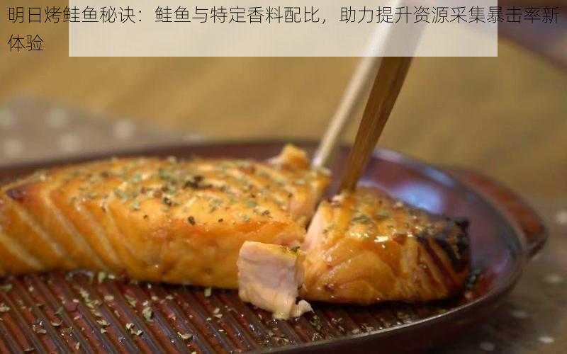 明日烤鲑鱼秘诀：鲑鱼与特定香料配比，助力提升资源采集暴击率新体验