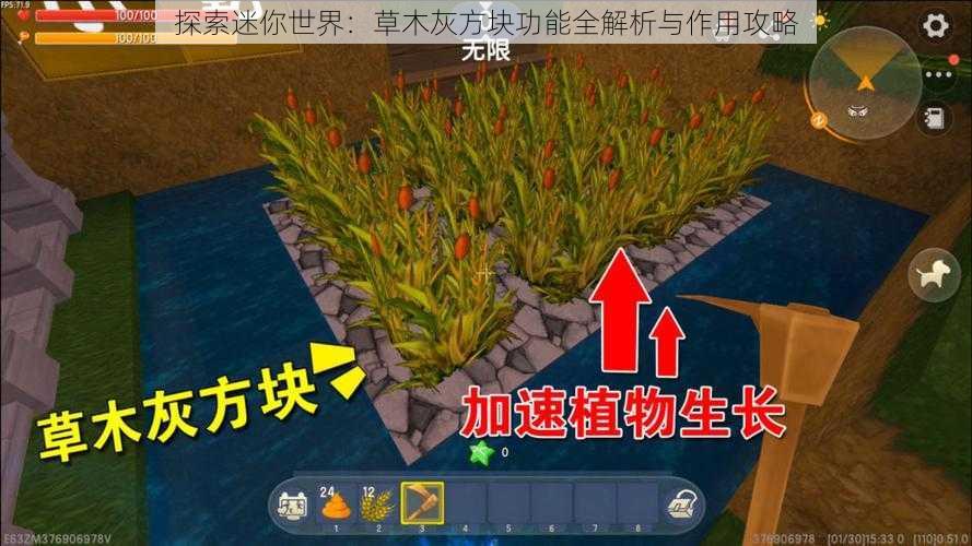 探索迷你世界：草木灰方块功能全解析与作用攻略