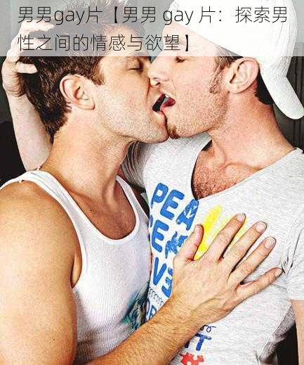 男男gay片【男男 gay 片：探索男性之间的情感与欲望】