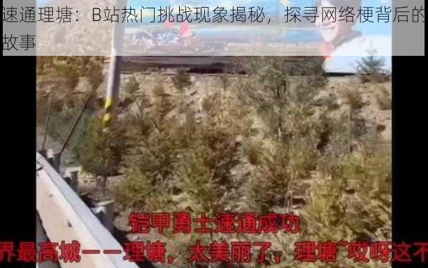 速通理塘：B站热门挑战现象揭秘，探寻网络梗背后的故事