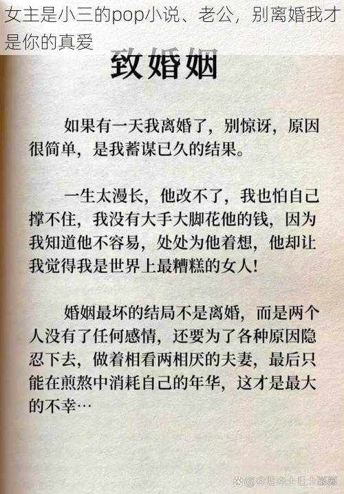 女主是小三的pop小说、老公，别离婚我才是你的真爱