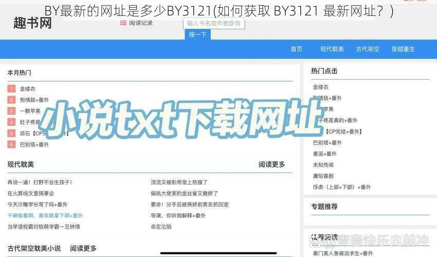 BY最新的网址是多少BY3121(如何获取 BY3121 最新网址？)