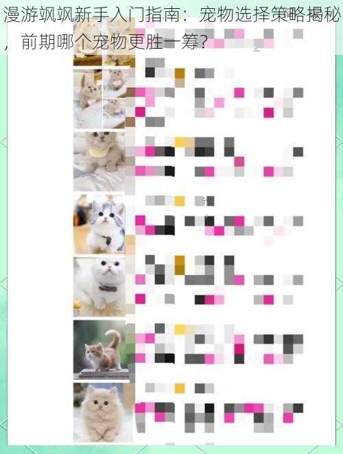 漫游飒飒新手入门指南：宠物选择策略揭秘，前期哪个宠物更胜一筹？