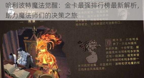 哈利波特魔法觉醒：金卡最强排行榜最新解析，助力魔法师们的决策之旅